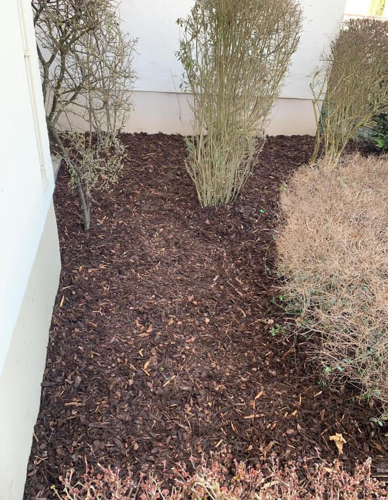 Reparaturen - Mulchen im Garten - Nachher