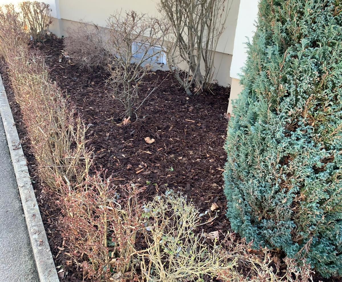 Reparaturen - Mulchen im Garten - Nachher