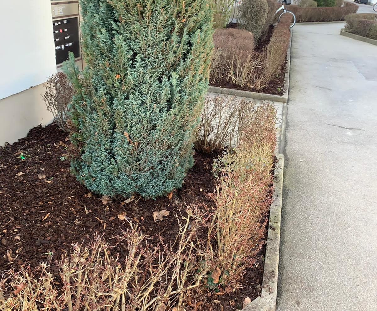 Reparaturen - Mulchen im Garten - Nachher